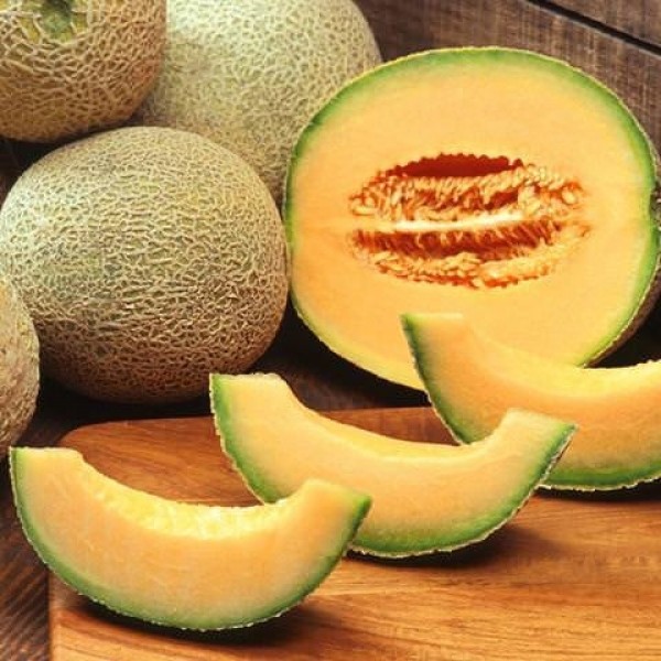 TPA TFA Cantaloupe