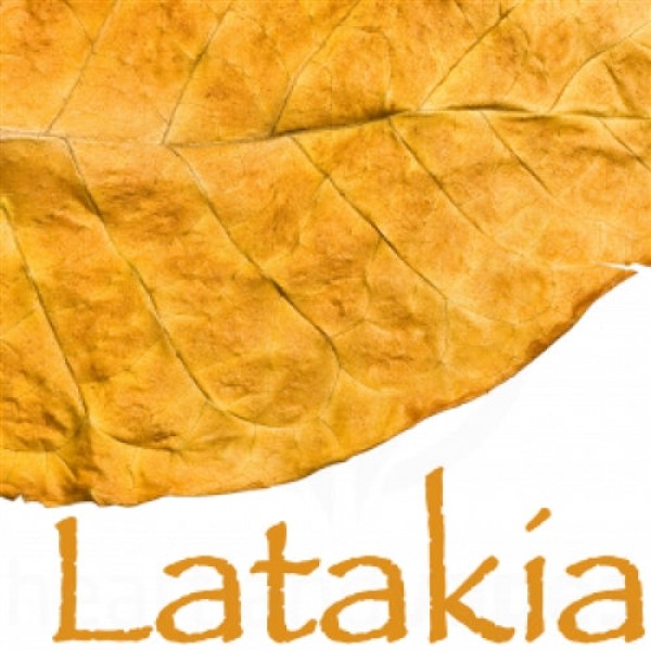 Flavour Art - Lataki...