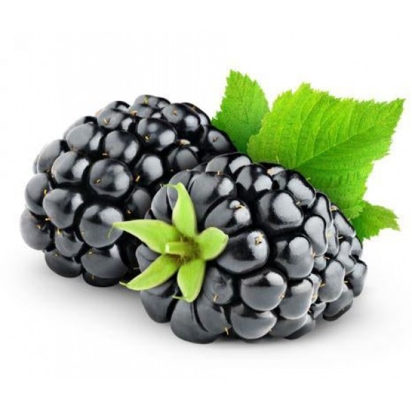 Flavour Art - Blackb...