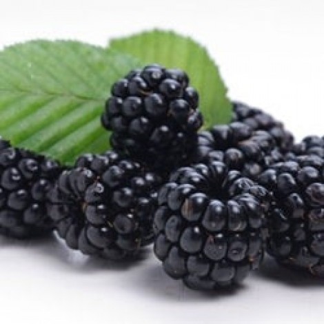 TPA TFA Blackberry