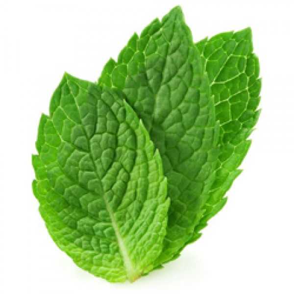 TPA TFA Spearmint