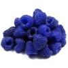 Flavor West Blue Raspberry Flavor West Blue Raspberry