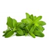 Stevia with 10% Sweetener