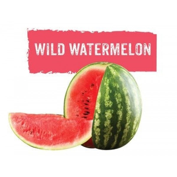 GLF Wild Watermelon