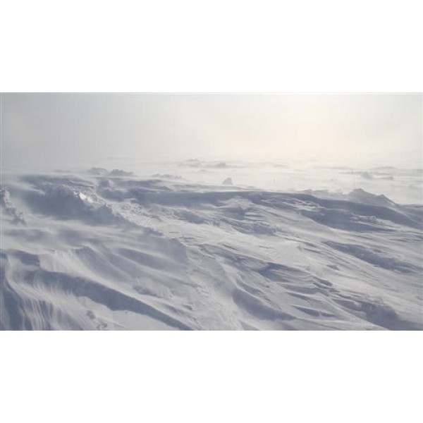 Flavour Art - Arctic...