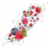 The Last E-Liquid Company - LEC - Fruit Burst 120ml