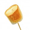 TPA TFA Toasted Marshmallow