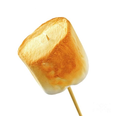 TPA TFA Toasted Marshmallow
