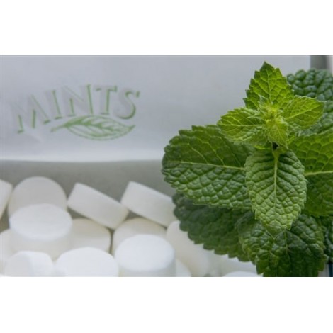 The Last E-Liquid Company - LEC60 - Cloud Saltz Swt ICE 60ml