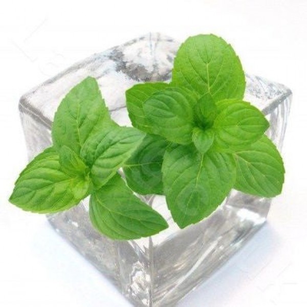 Vapen juice - Swt Ic...