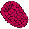 Vapen juice - Raspyberry