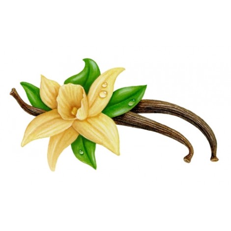 Vapen juice - Vanilla