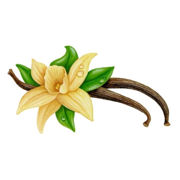 Vapen juice - Vanill...