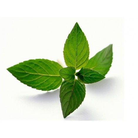 Vapen juice - Spearmint